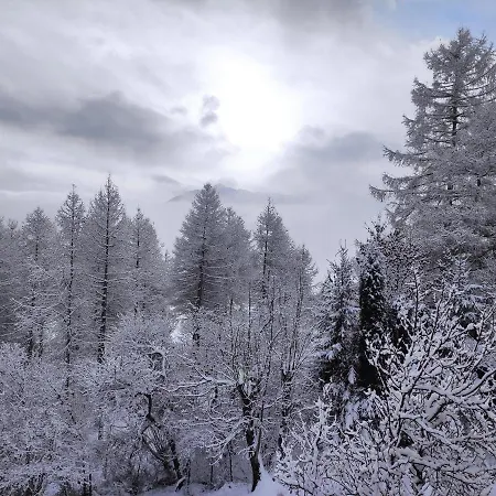 Appartement Bel Au Rez De Chaussee D'un *