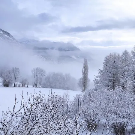 Bel Au Rez De Chaussee D'un Appartement *