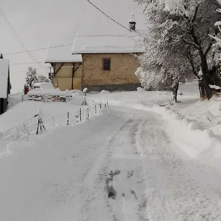 Bel Au Rez De Chaussee D'un Lägenhet Jarrier